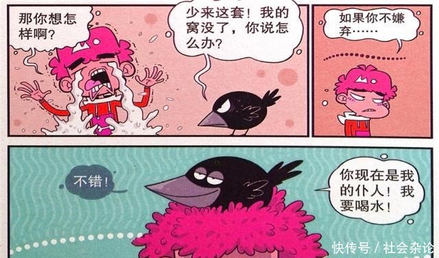 漫画|衰漫画衰衰“霉运附体”认鸦为主备受打击真搞笑