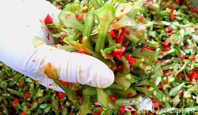 刀把豆|俗称“刀把豆”，毒性很大，30年前经常做腌菜吃，现在极少种植！