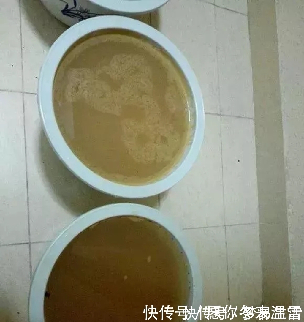 路边挖点土,养花施肥不求人,自制“营养液”,用了“蹭蹭长个”