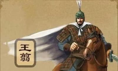 王翦|王翦打仗有个习惯,秦始皇为了胜利,每次只能咬牙答应