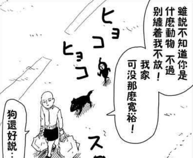 黑精|一拳超人在收留波奇和黑精時,埼玉老師看不出它們是怪人未必