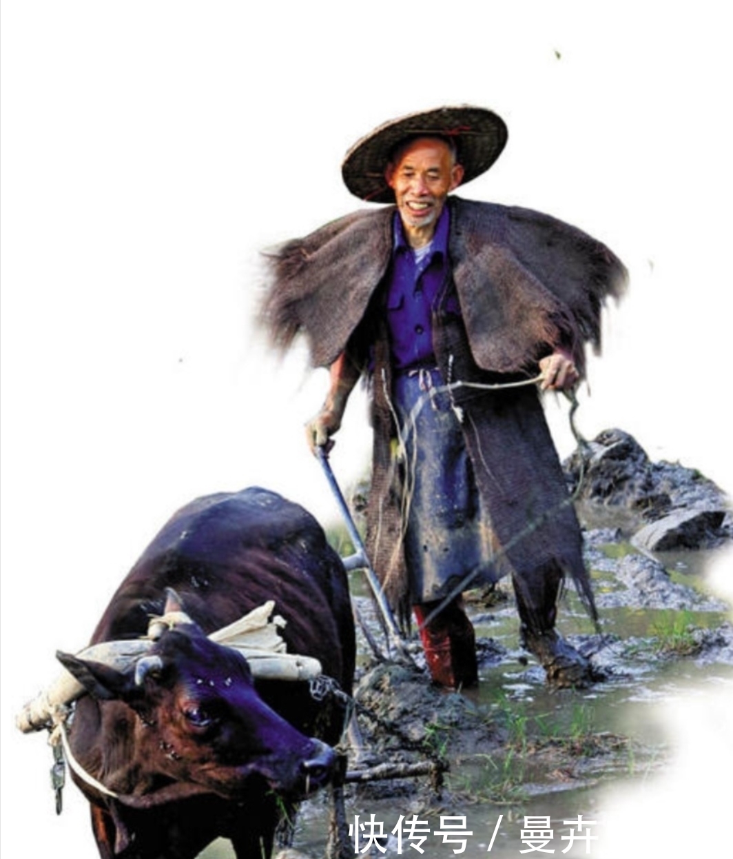 导致人类历史进程中,战争杀戮不断的原因有哪些?