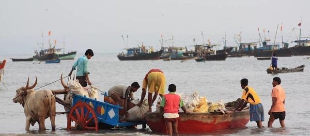 海底|真有海底宝藏康熙沉船5万件青花瓷,市值5亿美金无压力