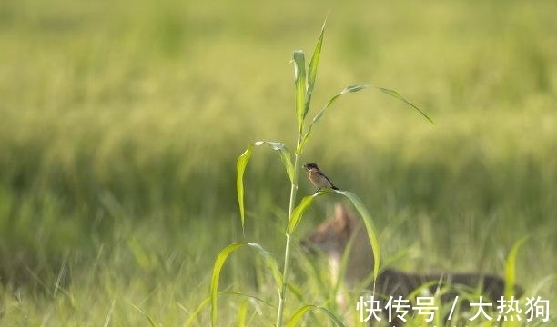 真爱|上旬之后，情深意切，放下矜持，桃花遍地，真爱不再，今生永相