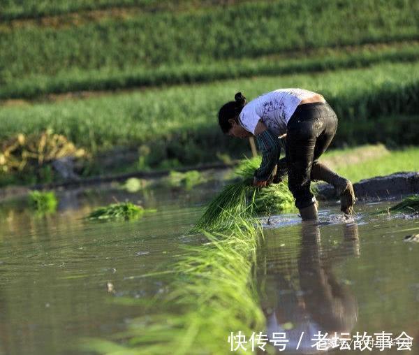 房子|这几种农民最好不要进城买房，否则会让你后悔莫及