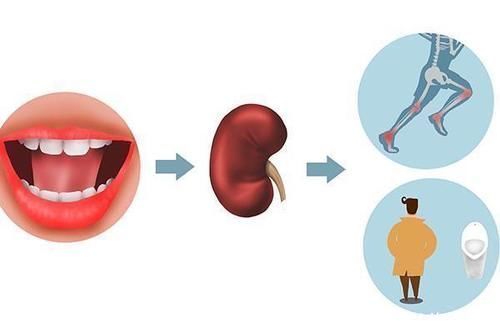 肾功能下降时，身体会有发臭、发黑现象，早点察觉，肾会健康