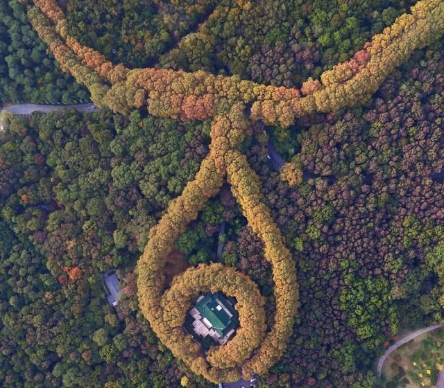 法国梧桐|“远东第一别墅”美龄宫,法国梧桐组成项链,钱从哪里来