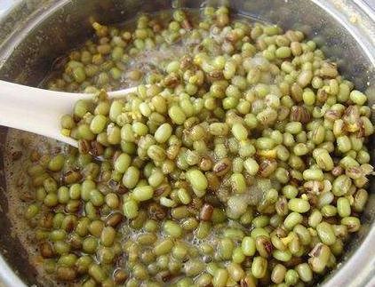 铜钱草|阳台养铜钱草,吃点“天然氮肥”,一分钱不花,变成“大荷叶”