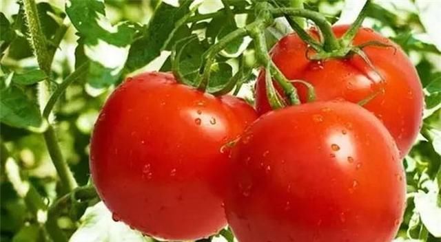 想長壽先排毒，春天多吃3種食物，排毒養顏，滋養肌膚，氣色更好