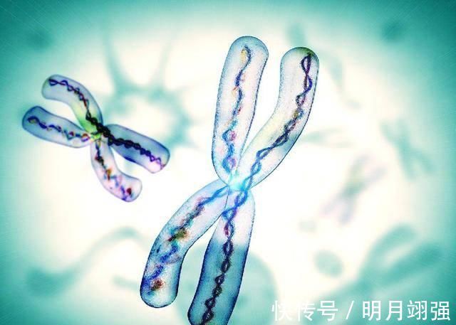 疾病|这几种遗传病患者,最好别要孩子,别拿个人的无知去坑孩子