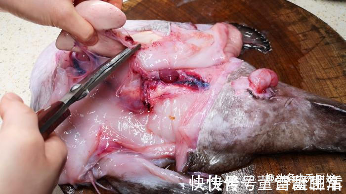 蛤蟆鱼|入秋后,遇到此鱼别不懂吃,营养极高,女性要多吃,炖豆腐吃最香