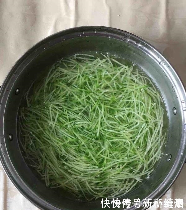 它是小人参，一元一斤，常吃润肺排毒助消化，夏月吃它正当季！