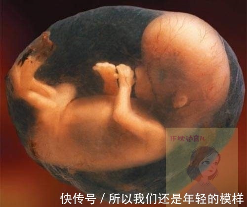 胎儿|子宫里黑漆漆,胎儿在干嘛宝宝视角“妈妈,我忙着呢”