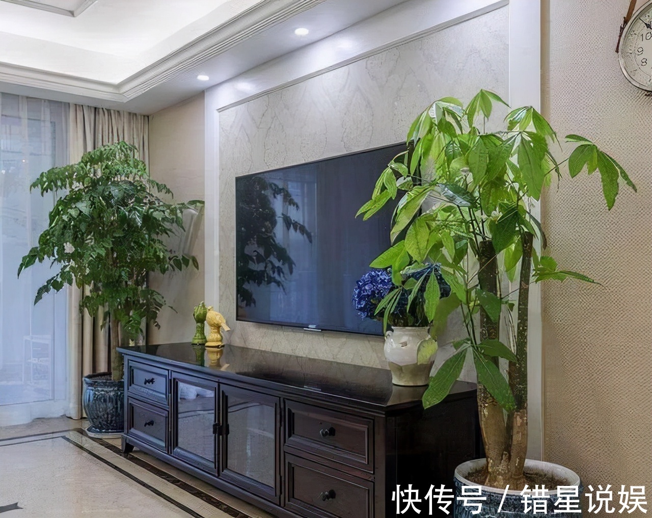 寓意|10大“吉祥花”适合养客厅,格调高,株型美,旺财又护家