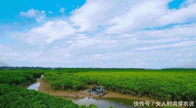  流油|央视又“曝光”了！一戳就流油的海鸭蛋，这流出的“油”哪来的