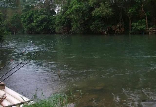 童年|童年钓鱼最怕的就是刀鳅鱼,因为它食性非常凶猛,把钩吞进肚子里