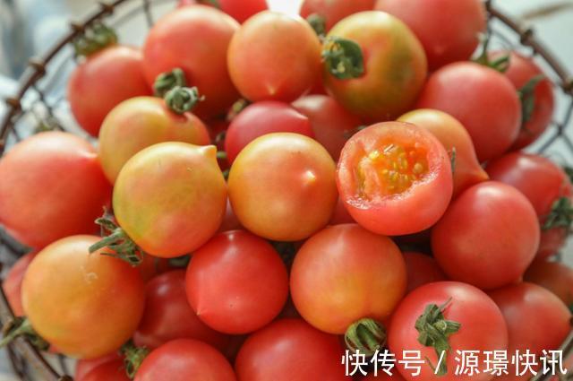 鉴别|买西红柿时要小心“激素西红柿”,学会4个方法,轻松鉴别