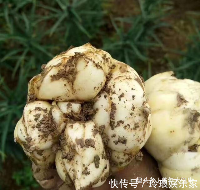 皮肤|女人怕老不要慌,秋冬多吃这些碱性食物,保养皮肤更有女人味