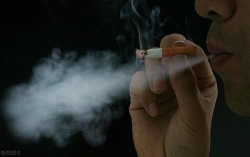  食补|药食同源是无稽之谈？中医从“四气五味”讲讲食补的原理