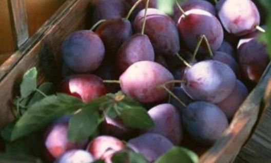 减肥|减肥都能“放开吃”的4种零食,热量低不发胖,让你减肥解馋