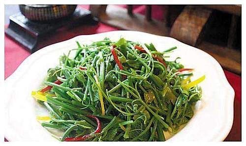 会吃的人才长寿，常吃几种食物，补充能量，排毒抗衰，气色更好