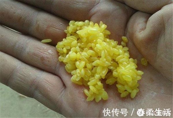 短线|草窝钓鲫鱼总挂底,老钓友教你2招来解决,告别挂底钓大鲫