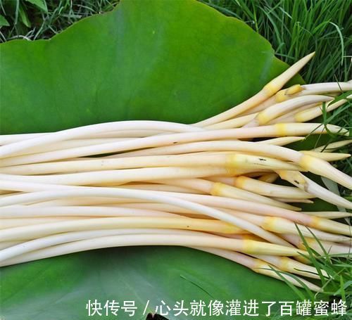 香梨|会吃的人最健康,3种食物离不开,排毒养颜,增强体质!