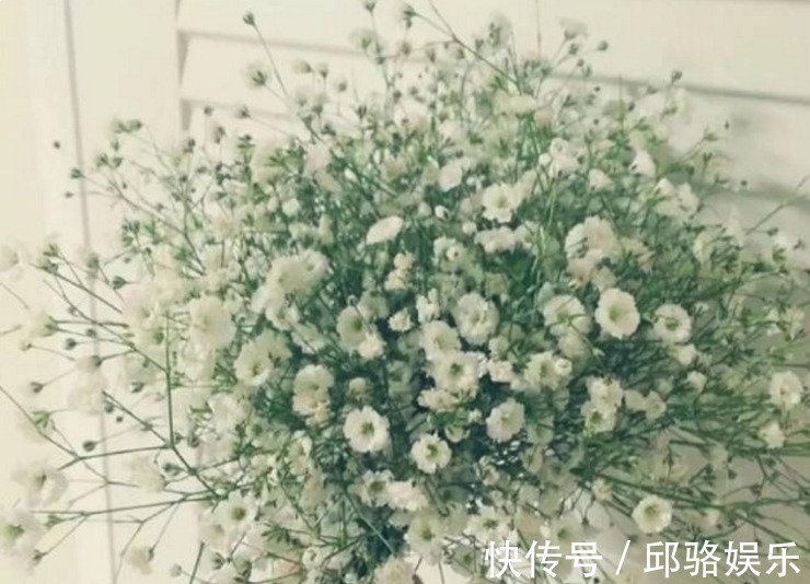 早发白帝城&六首“早安”诗词:风动影动心不动,独自沉香待花开