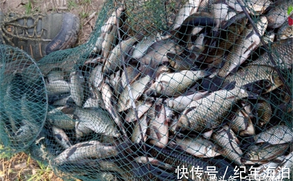 冬季钓鱼，根本就“无技巧”，空军还是爆护，差的仅仅只有这2步