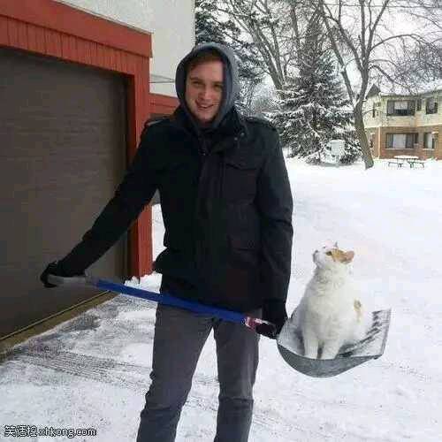 |搞笑图片幽默段子笑话这个班级难道全部是男生么哈哈哈