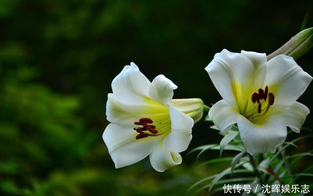 保持沉默|这三种事,烂在肚子里也不能与别人交流,避免惹祸