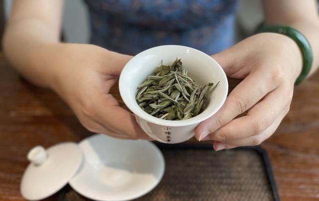 备受|白毫银针备受误解的3个表现,有人避之不及,但老茶友却只爱喝它