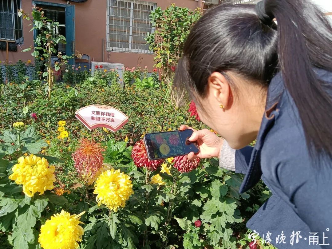 宁波这个小区要火！有人耗时一年，把绿化地变成了…太惊艳！