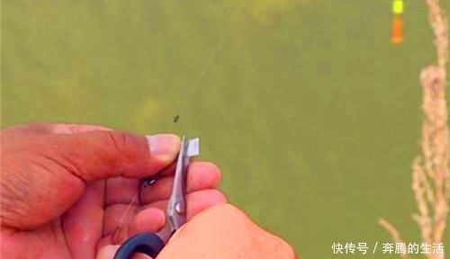 技巧|调漂技巧:详解空钩调漂和带饵调漂,哪种调漂方法更适合野钓?