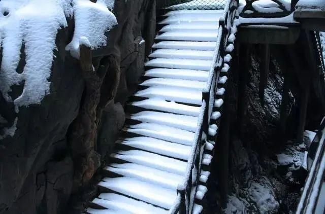 金丝峡|陕南的这座峡谷，藏着秋冬两季最梦幻的美景~