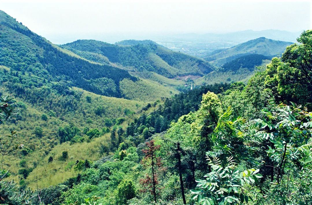 余杭|正是登高好时机！余杭这几座山峰，你最想“征服”谁？