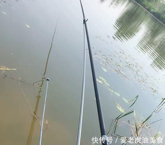 大鱼|6月份钓鱼,最好选这两个鱼开口的时间段,一小时比平时半天还多!