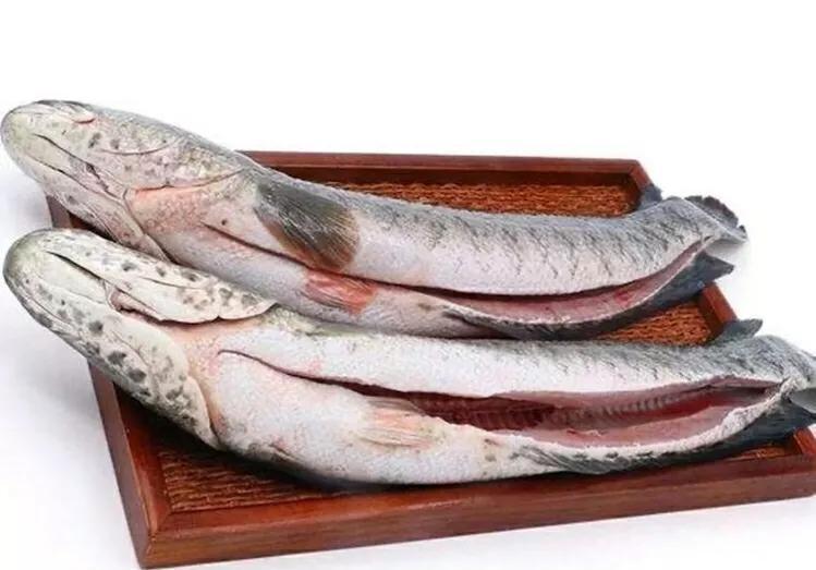 怀孕|入冬后女人怀孕记得吃5种鱼,忌食1种鱼,吃对了身体才会棒棒哒