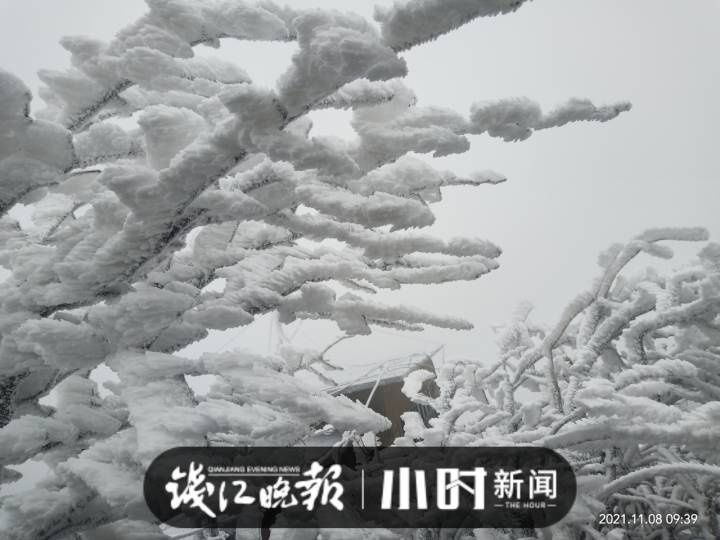 浙医二院|浙江：杭州这里飘雪了；欠债290万却在朋友圈公然炫富？杭州男子化身美女抓老赖