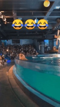 |搞笑GIF:地铁上遇到的小姐姐,真想去她们公司上班