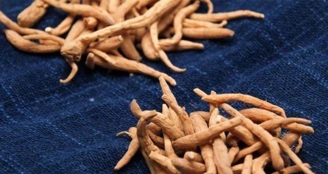 肺癌|劝告大家有一味中药健脾润肺,调理失眠,杀菌消炎,清肺化痰预防肺癌