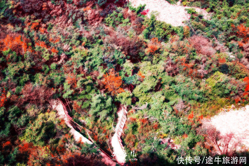 玻璃桥|落日余晖，一颦一笑染尽迷人秋色，遇见古老神秘之国—沂蒙山