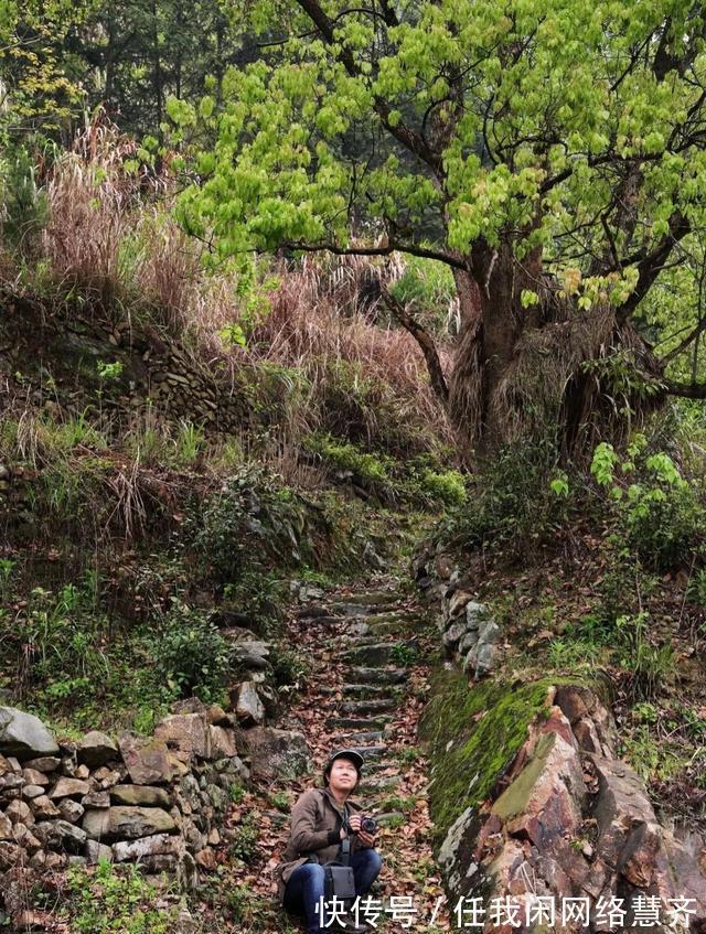 那个年代|平阳的“香格里拉”——水口村游记