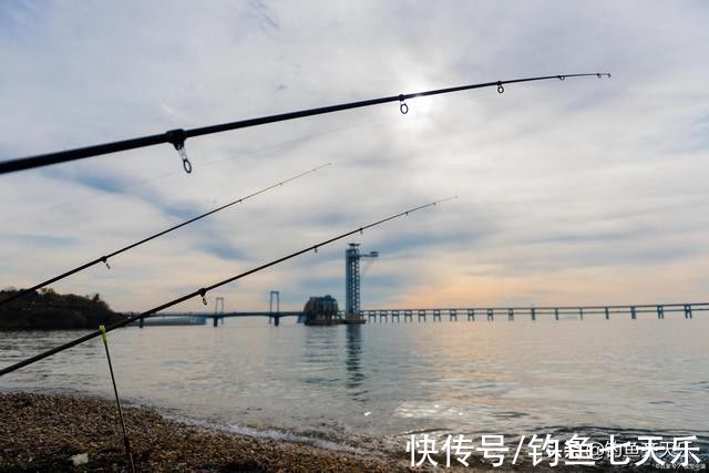 内数|人在水中不是鱼的对手！一周内数人因“钓鱼”溺亡，最小的仅19岁