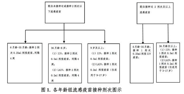 接种|警惕流感、新冠合并感染！中疾控：建议10月底前打完流感疫苗