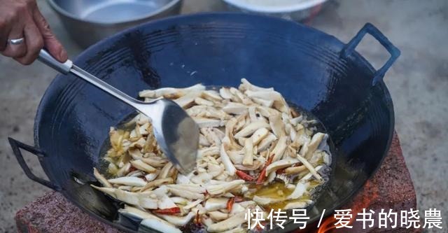 舌尖|「舌尖上的永胜」之鸡枞油!