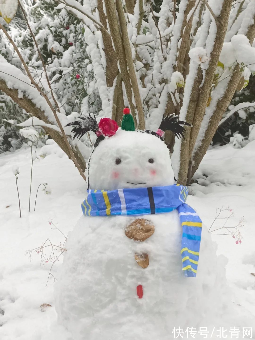 雪人#雪人大比拼，长沙人确实不走寻常路！特别是有位兽医的作品