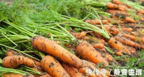 菜市场卖的胡萝卜为啥都那么干净？菜农“说漏嘴”！