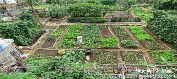 面积|宅基地确权时，院子如何确权房屋外的土地又该如何确权呢