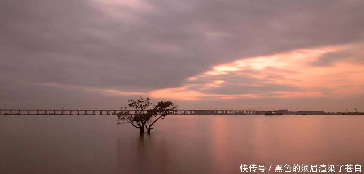 天涯|梦落天涯，一抹孤影立夕阳！